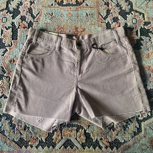 Lavender Corduroy Cutoff Shorts